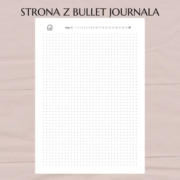 cyfrowy bullet journal